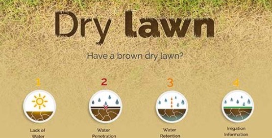 Visit DryLawn.com Here