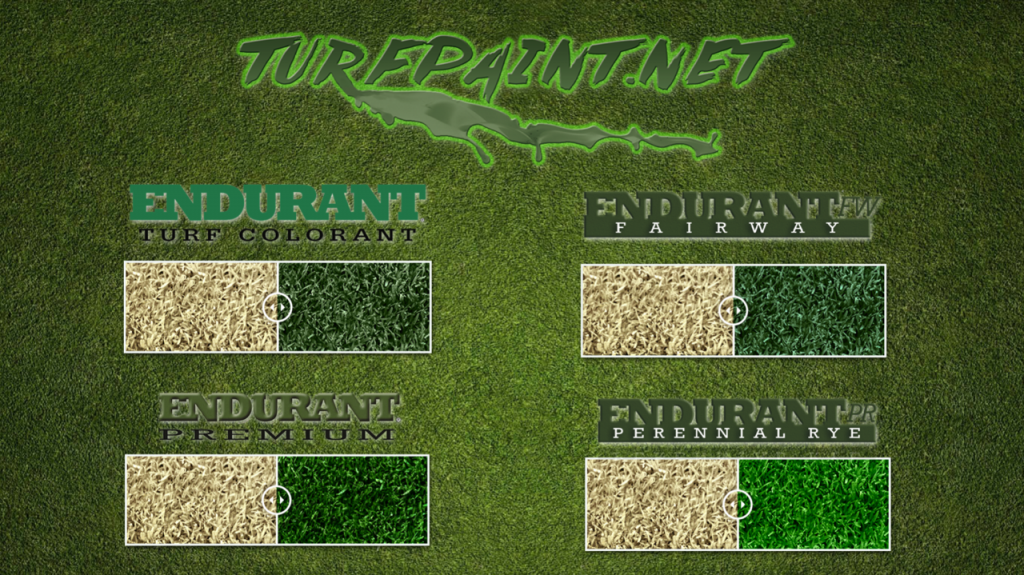 Endurant colorants for varying turfgrass species concentrations