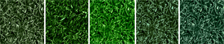 Endurant lawn paint has a variety of green grass color options for the most natural look and best value