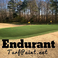 Keep grass green all winter with Endurant turf colorant and lawn paint instead of over-seeding dormant warm season grasses