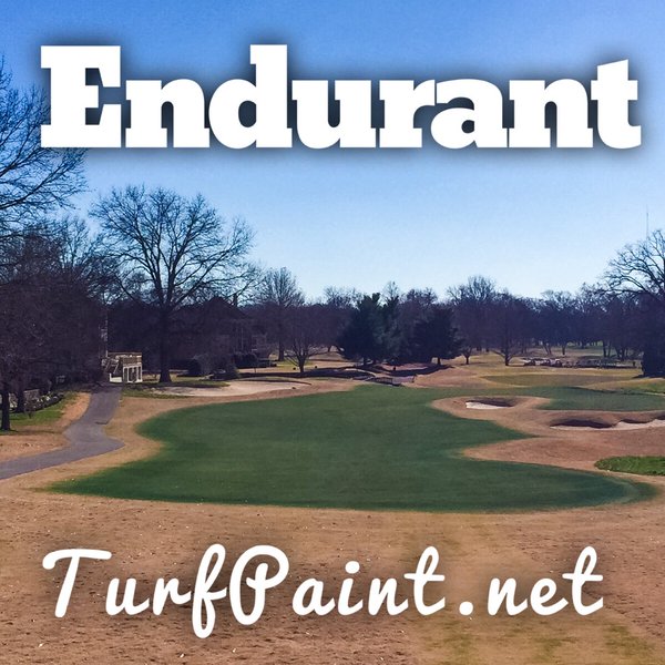 Before and after pictures reveal Endurant turf colorants providing a look of liquid overseed to dormant 410 Bermuda grass fairways during dormancy.