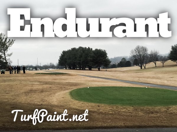 Before and after pictures show Endurant transforming the golf course for easy to spot target greens during winter turfgrass dormancy. 