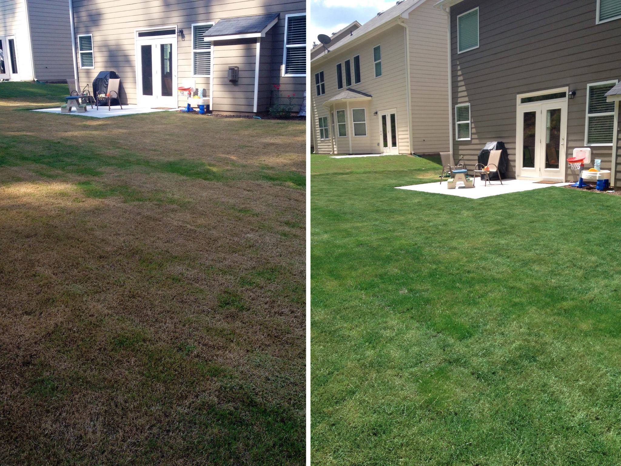 Before and after pictures of this Georgia home lawn show the power of Endurant Premium eco-friendly turf colorant