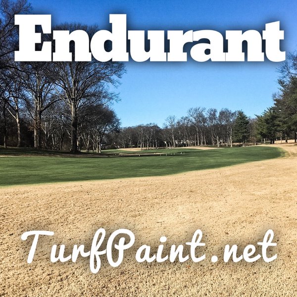 Before and after pictures reveal Endurant liquid overseed transforms dormant turfgrass into lively, healthy looking green grass