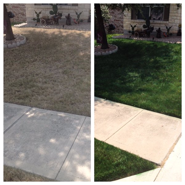 Before and after pictures of Endurant home lawn paint transforming home lawns across the U.S. and during California drought