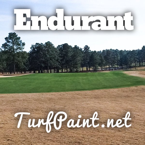 Before and after pictures reveal a powerful turfgrass transformation with Endurant turf colorant at Pinehurst No 8