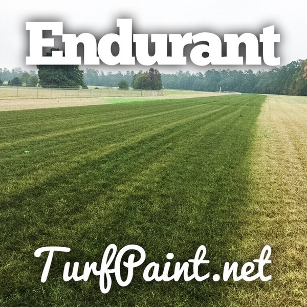 A horse race track in Springdale South Carolina is growing greener turf while saving money using Endurant turf colorant when compared with antiquated practices that require overseeding, over-watering and over-fertilizing.