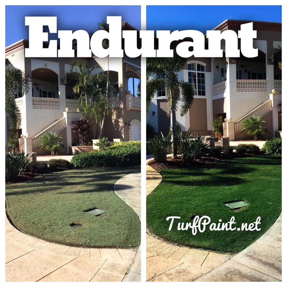 Endurant recently gives several Naples homes for sale beautiful lawn makeovers