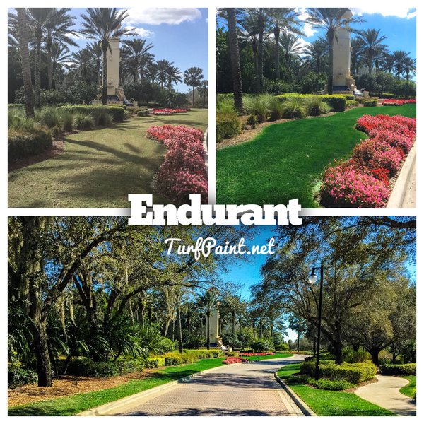 Collier County Parks use Endurant turf colorant