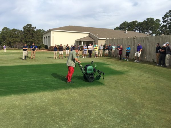 Great golf: 20 photos of Endurant (20 of 20)