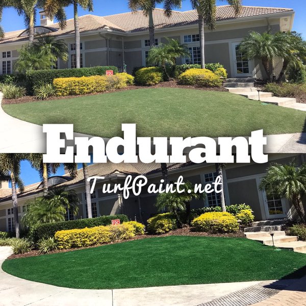 Great golf: 20 photos of Endurant (15 of 20)