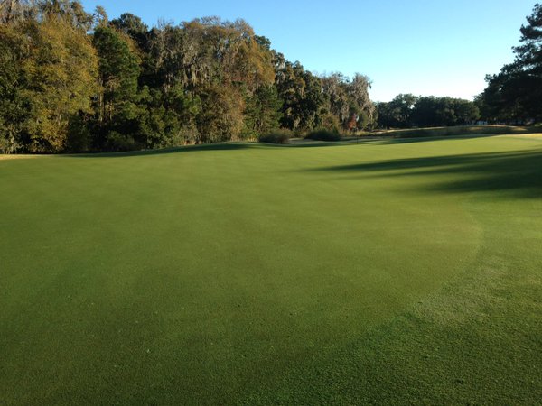 Great golf: 20 photos of Endurant (14 of 20)