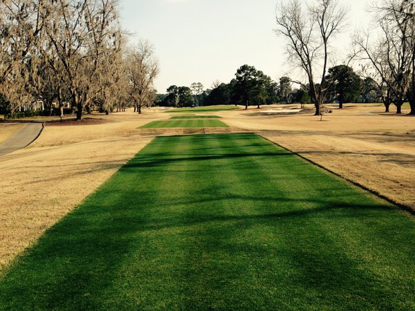 Great golf: 20 photos of Endurant (12 of 20)