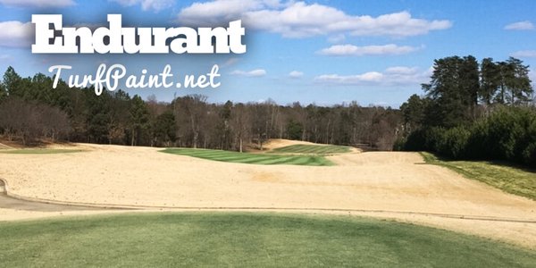 Great golf: 20 photos of Endurant turf colorant on golf courses No. 1