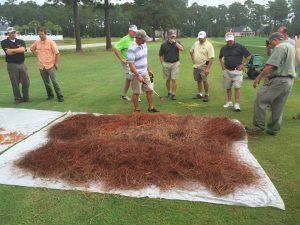 Turf paint field day includes Endurant mulch colorants