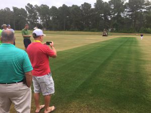 What is the best grass paint