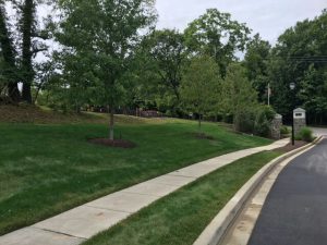 After: Endurant Premium provides a lush, even and natural green. Endurant can last up to 3 months on dormant turf, with length of color depending upon several factors, including rate of grass growth, frequency of mowing and other conditions.