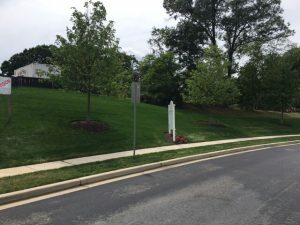 After: Rich, lush green is what most property owners expect from their lawn care providers. Endurant turf colorants and color enhancers can help provide green grass even in summer heat stress or other conditions.