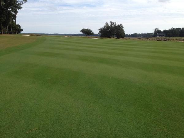 Endurant TE is applied to paspalum at the rate of 20 ounces per acre to provide a rich springtime green grass color. 