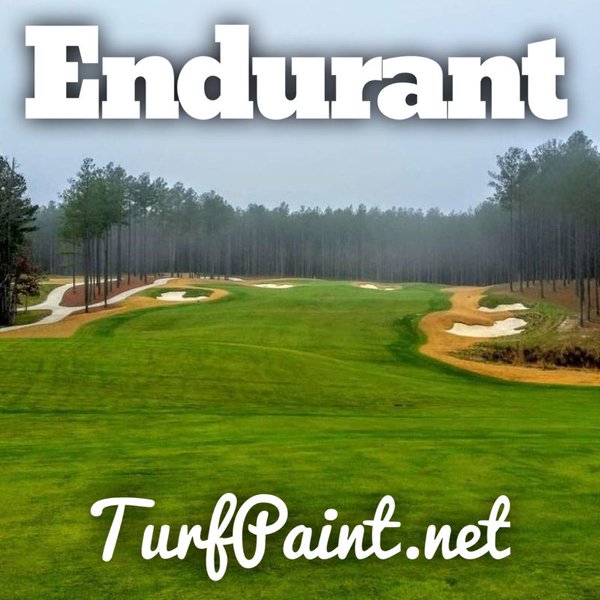 Endurant keeps warm season grasses gorgeous and playable throughout the cold winters. Magnolia Green Golf Club uses Endurant on Celebration Bermudagrass, lasting four months.