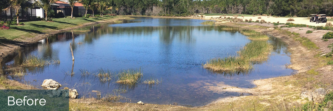 Before: Aquaveil Pond Colorant