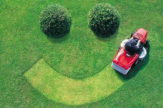 How to Reduce Summer Lawn Stress