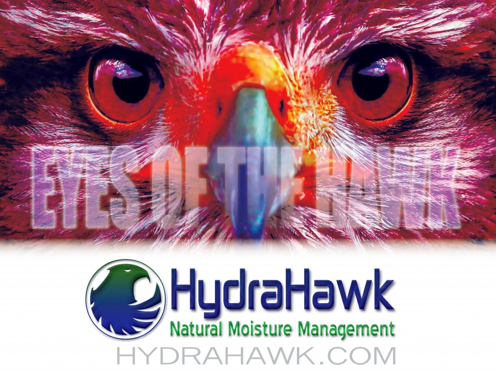 Manage summer stress and environmental stress with HydraHawk