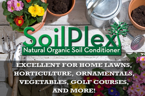 SoilPlex is for organic, veganic OMRI-listed growing. Organic plants THRIVE with SoilPlex. www.SoilPlex.com