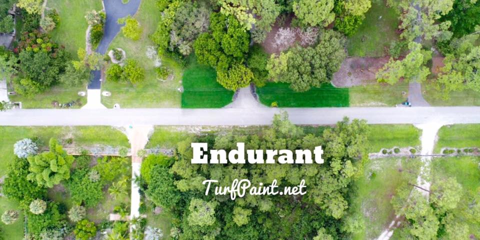 Endurant turf colorant is applied to home lawns even throughout the summer in South Florida. Endurant colorants add instant curb appeal as easily seen from high in the sky provided by this drone photo.