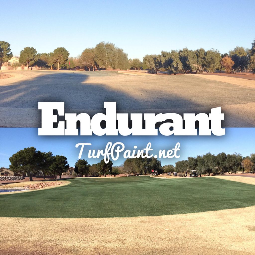 Before and after photos show Endurant turf colorant on dormant warm season turfgrass. 