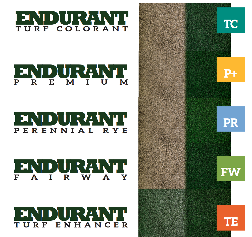 Options of shades of Endurant turf grass colorants