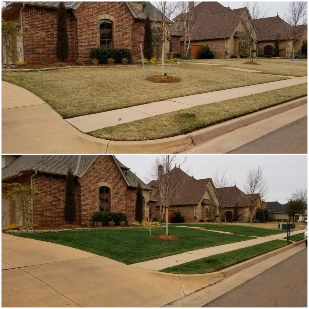 Painting grass pays off for the owner of lawn service companies in Oklahoma.