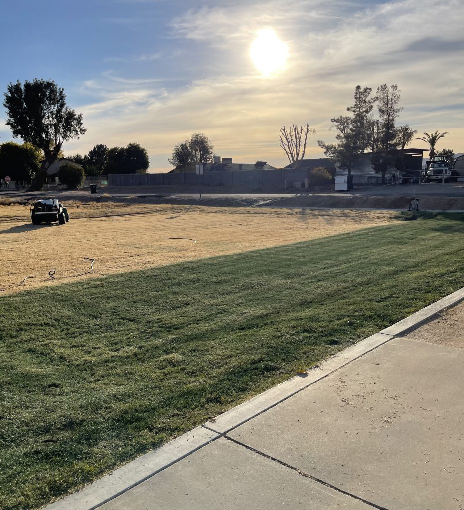 Brown Arizona lawn goes green with Endurant