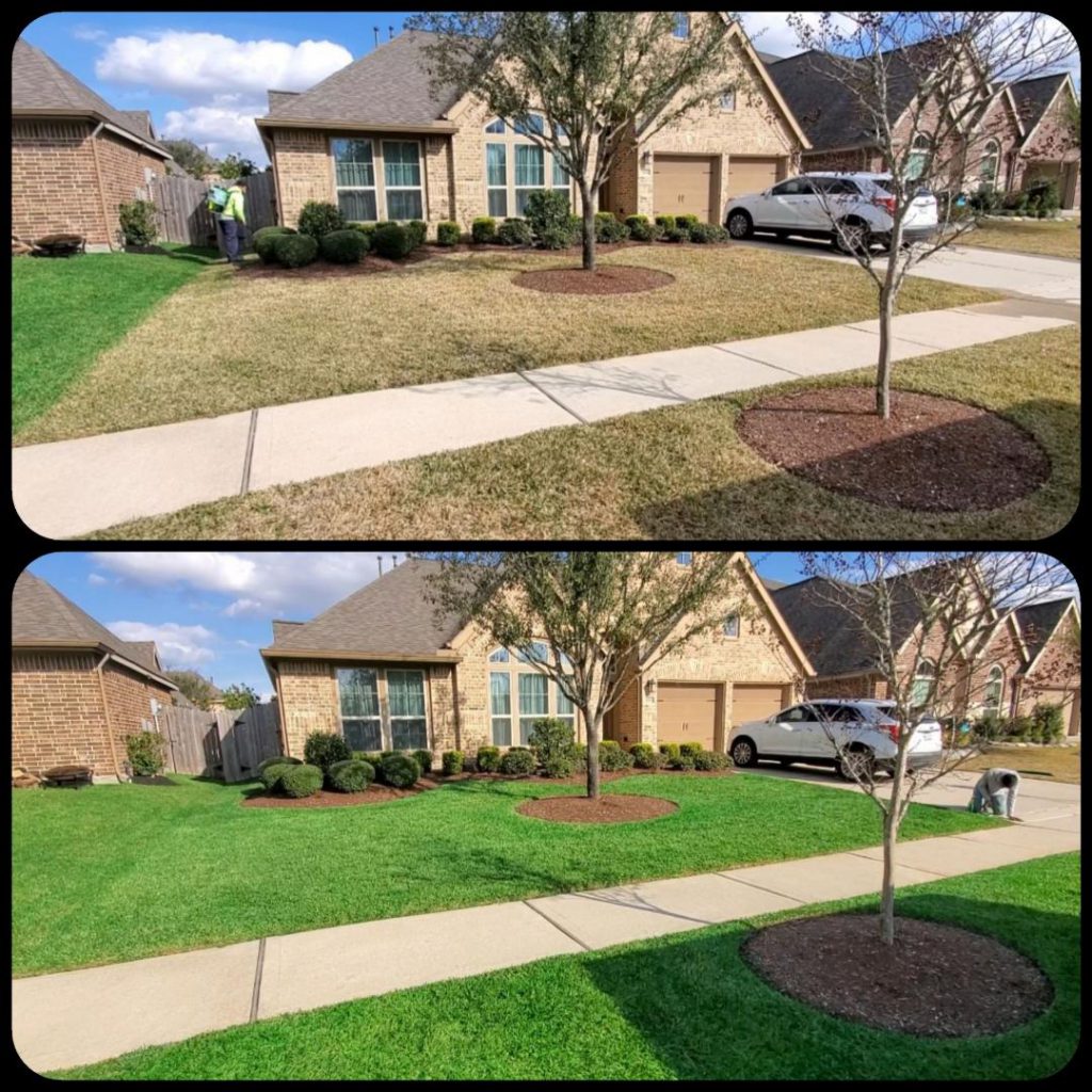 Alawnso Services and Endurant turf colorants transform home lawns