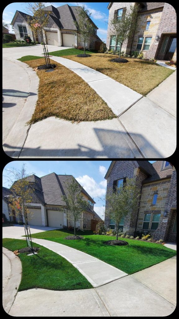Alawnso Services and Endruant turf colorants paint lawns in Houston Texas area