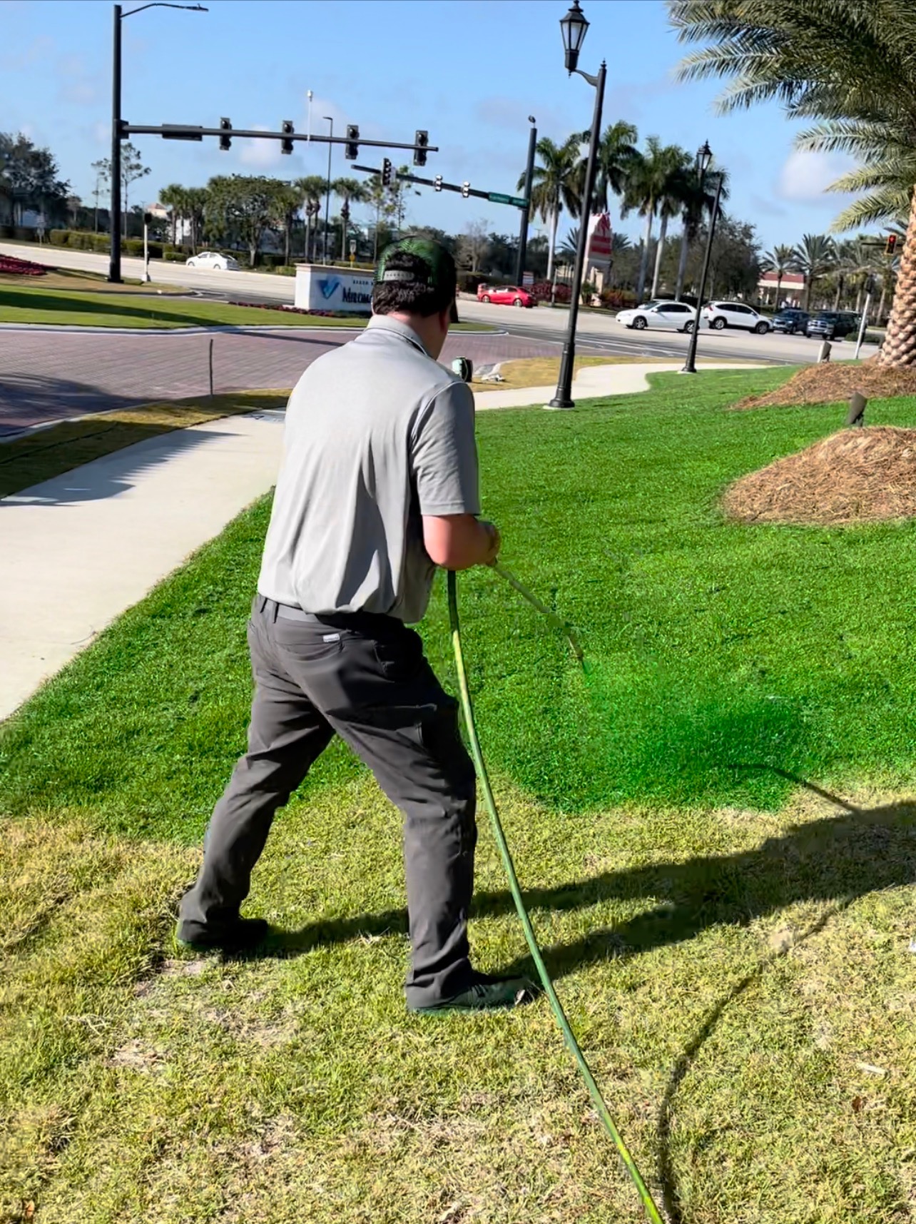 How to Paint a Lawn Green The Best Endurant Turf Paint turning