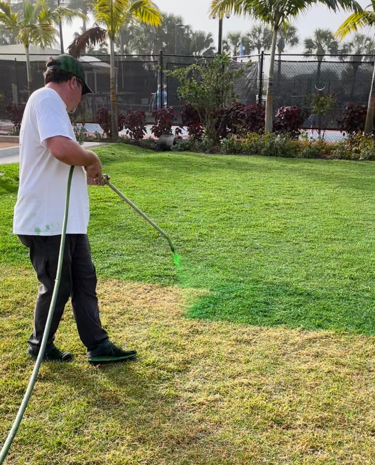 How To Paint Grass DIY Endurant Turf Paint
