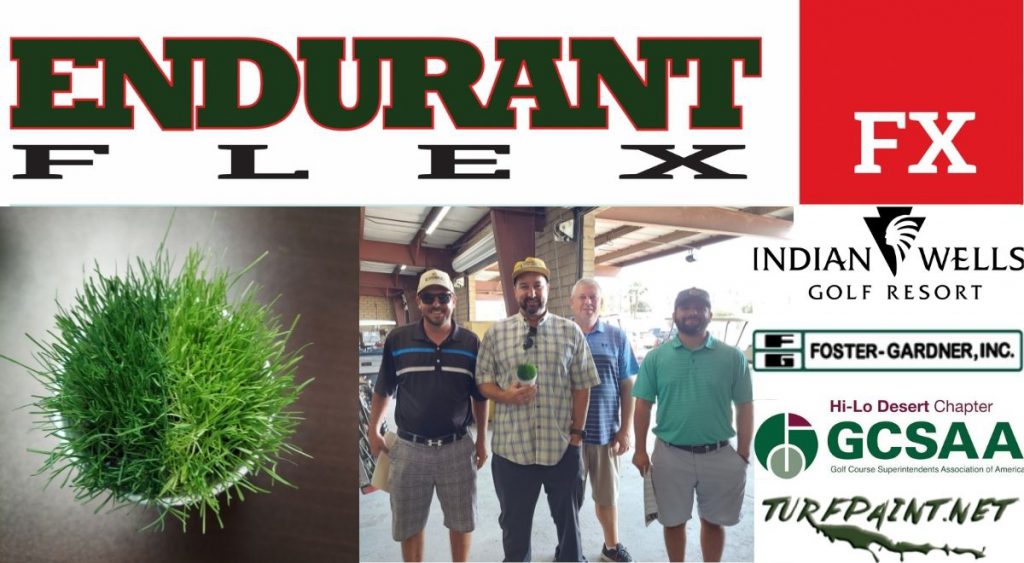 Endurant Flex is ideal for turf transitions and even better when it's a prize at the Hi-Lo GCSAA