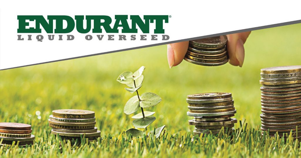 Comparing Costs of Overseed vs Turf Colorant