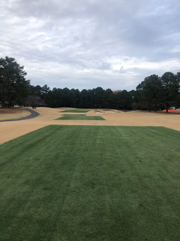After painting dormant grass with Endurant