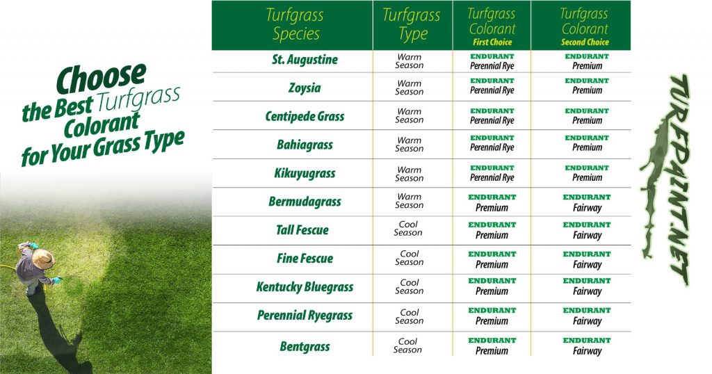 How to choose the best Endurant turfgrass colorant for your grass type and species