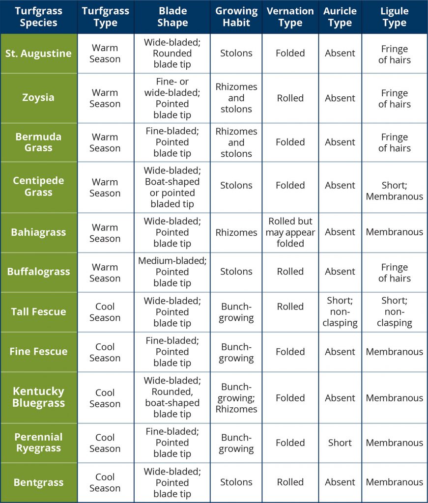 What is your grass species type table by Sod Solutions