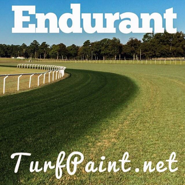 Turf Paint Photos Endurant Turf Paint